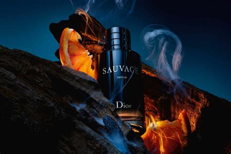 sauvage Dior symbolize